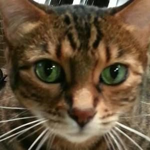 Meet your Posher, Frances